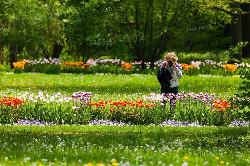 Tourist in Pillnitz Palace Park