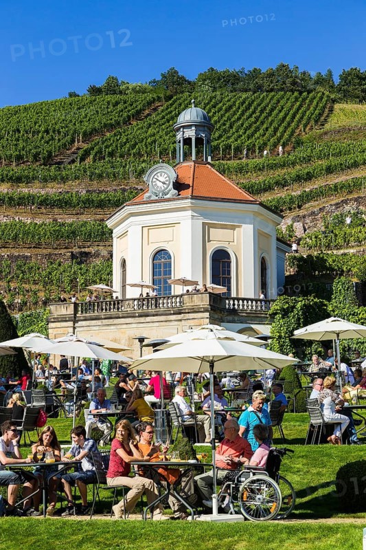 Wackerbarth Castle or Wackerbarths Ruh is a Baroque castle surrounded by vineyards in the Niederlössnitz district of Radebeul on the road to Meissen, which serves as the seat of the Saxon State Winery. The winery belongs to the Lössnitz vineyard and is located in the Radebeuler Johannisberg vineyard