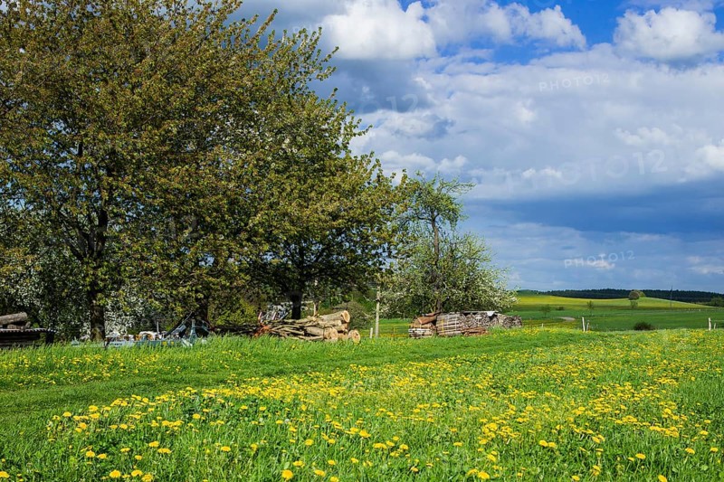 Village view Reinhardtsgrimma