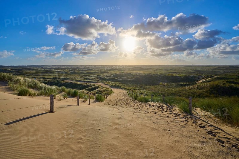 Beach access, sand dune, dune grass, wind, clouds, sun, morning, Amsterdam water line dunes, Zandvoort, North Sea, North Holland, Netherlands