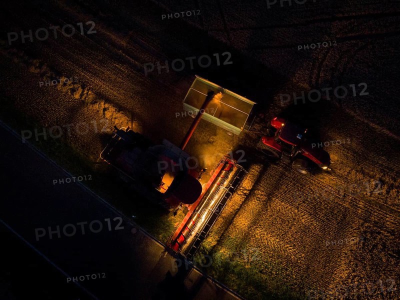 A combine harvester harvests a grain forest. When it is harvest time, the grain must also be brought from the stalk at night