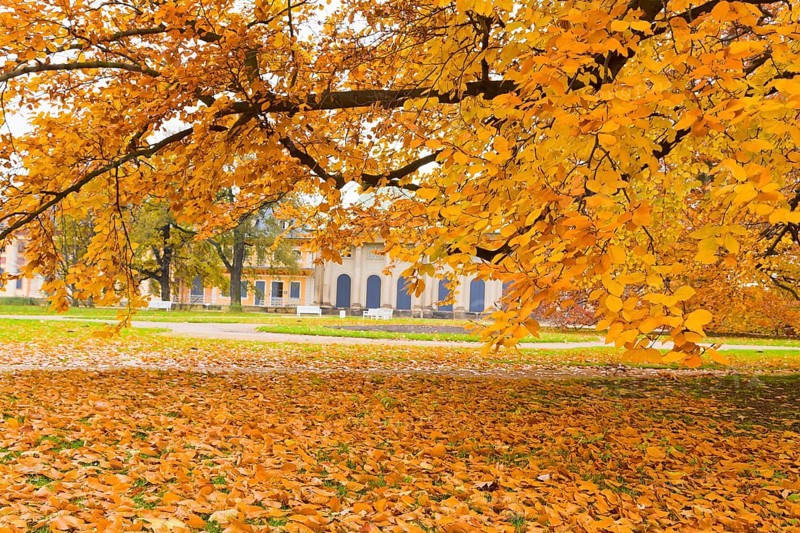 About 15 kilometres east of Dresden city centre, directly on the Elbe, lies Pillnitz Palace & Park, the most important chinoise palace complex in Europe. The extraordinary ensemble of architecture and garden art is harmoniously integrated into the river landscape of the Elbe valley in front of the vineyards