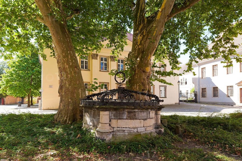 (Â© Sylvio Dittrich +49 1772156417) Fountain at Merseburg Cathedral