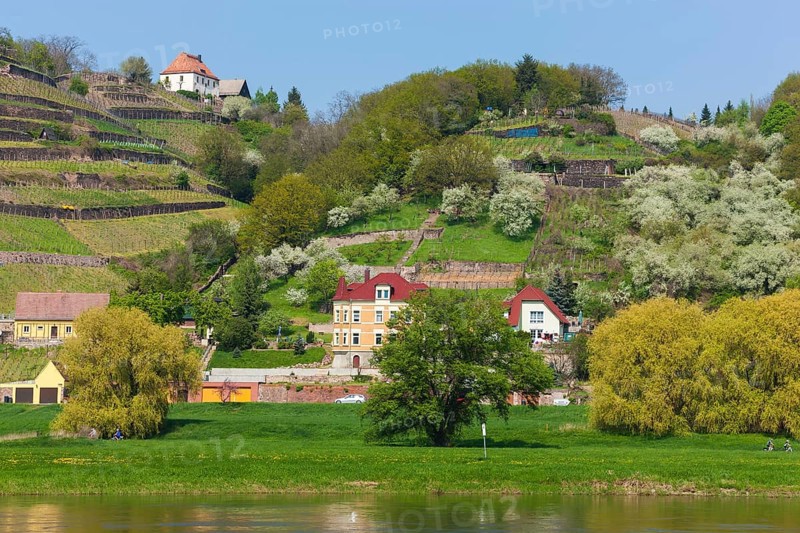 Elbe at the Boselspitze