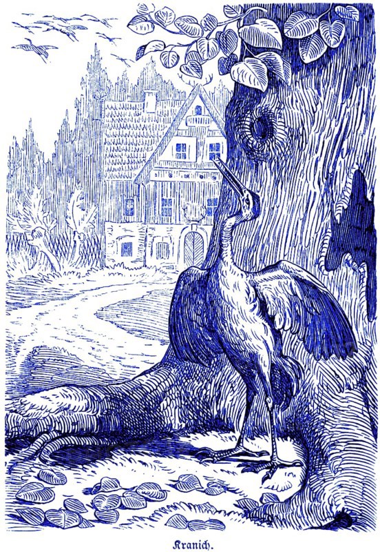 Crane, Hubertus hunting and hunting scenes, wild animals, nature, tree, wings, plumage, long beak, claws, old forester's house, historical illustration around 1860