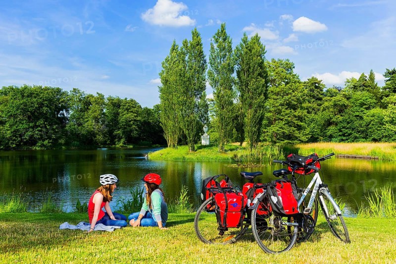 Elbe cycle path at Wörlitz Park