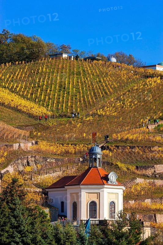 Wackerbarth Castle or Wackerbarths Ruh is a Baroque castle surrounded by vineyards in the Niederlössnitz district of Radebeul on the road to Meissen, which serves as the seat of the Saxon State Winery. The winery belongs to the Lössnitz vineyard and is located in the Radebeuler Johannisberg vineyard