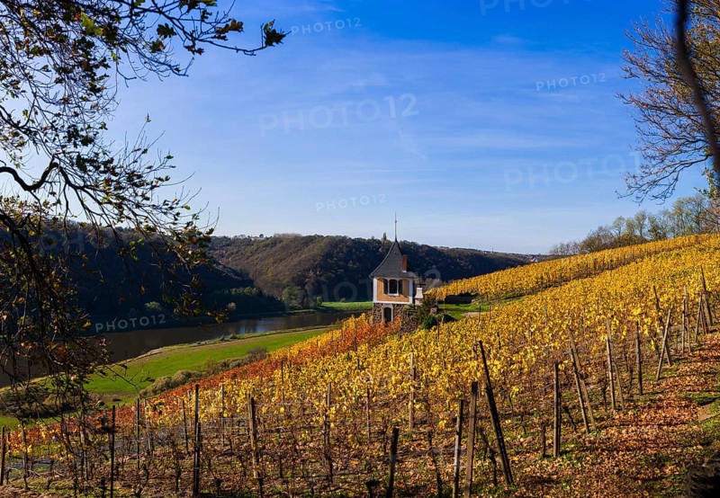 Not far from the Boselspitze, leaning towards the Elbe, is the vineyard known as the Rote Presse. The ochre-coloured vineyard cottage with the pointed roof, also known as the Swallow's Nest, is visible from afar