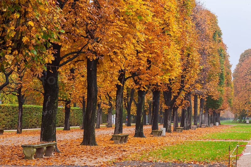 About 15 kilometres east of Dresden city centre, directly on the Elbe, lies Pillnitz Palace & Park, the most important chinoise palace complex in Europe. The extraordinary ensemble of architecture and garden art is harmoniously integrated into the river landscape of the Elbe valley in front of the vineyards