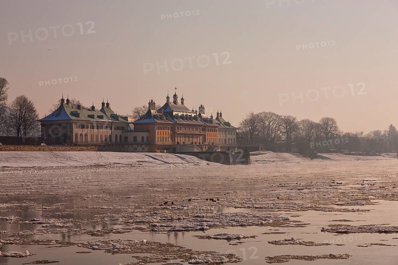 Ice drift on the Elbe in Dresden Pillnitz
