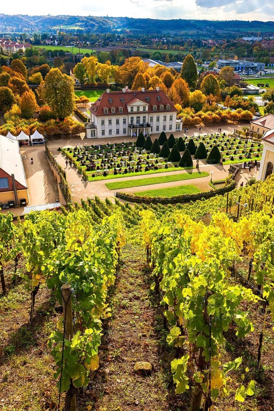 Wackerbarth Castle or Wackerbarths Ruh is a Baroque castle surrounded by vineyards in the Niederlössnitz district of Radebeul on the road to Meissen, which serves as the seat of the Saxon State Winery. The winery belongs to the Lössnitz vineyard and is located in the Radebeuler Johannisberg vineyard
