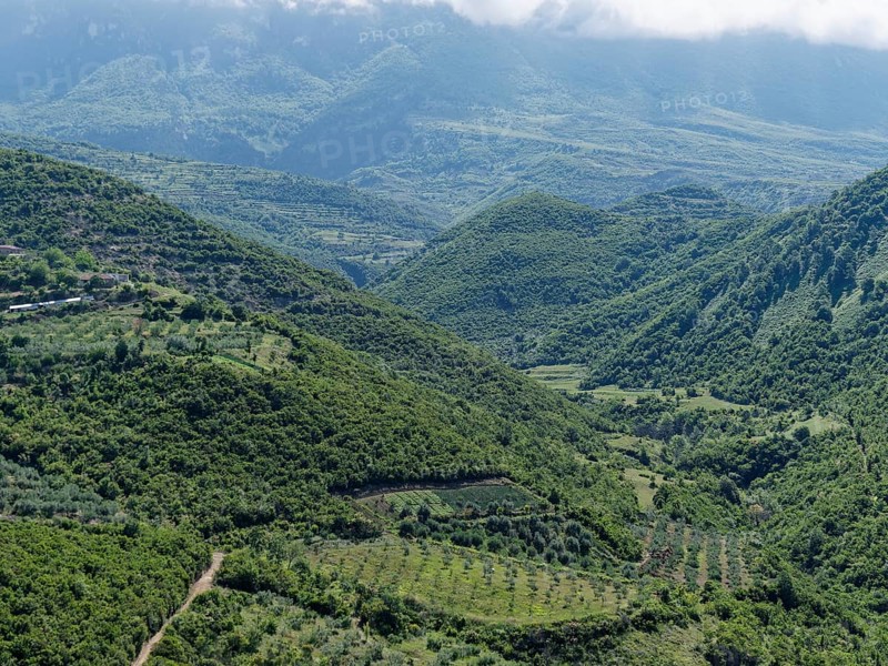 Wooded slopes and Mediterranean agriculture on the western foothills of the Tomorr Massif in Tomorr National Park, also Tomorri National Park. Berat, Albania, Southeast Europe, Europe