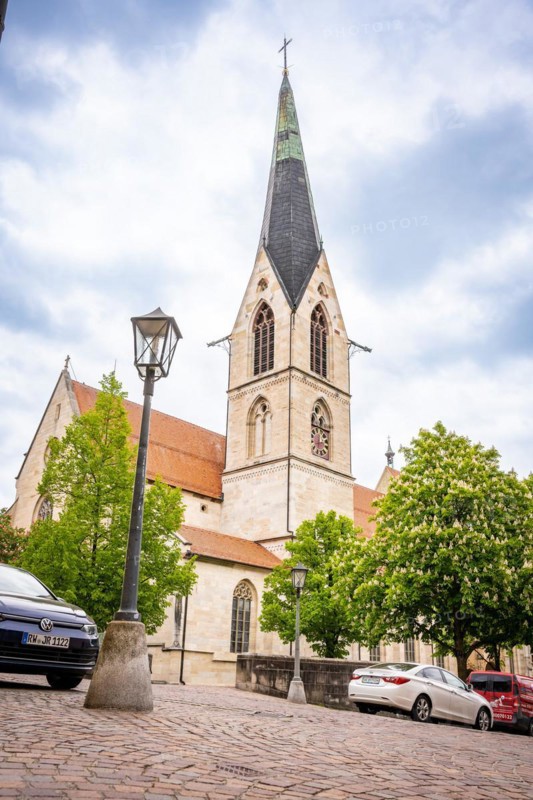St. Pelagius Church in summer, Rottweil, Germany, Europe