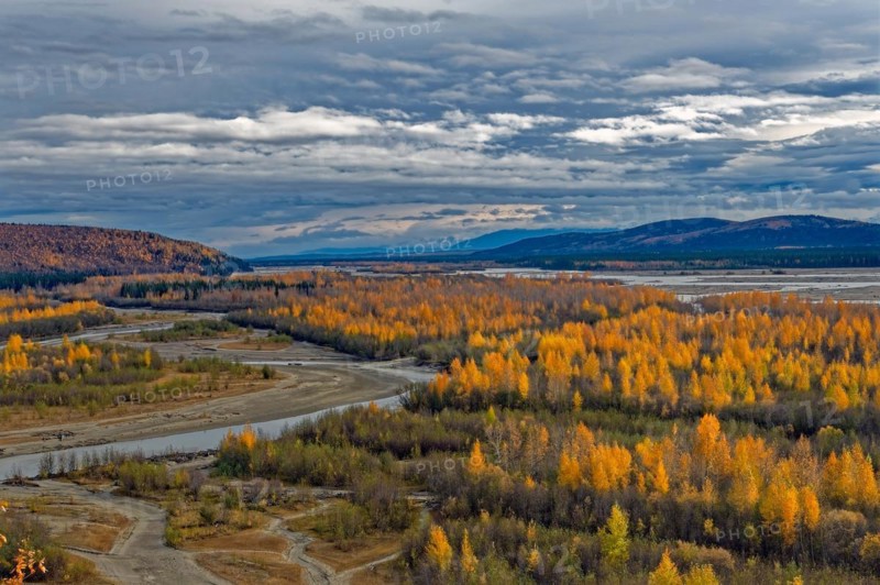 Tanana Valley, autumn, intense colouring, behind Tanana River, Central Alaska, Alaska, USA, North America