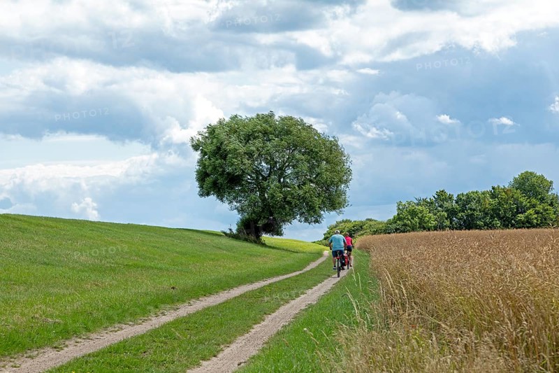 Cycle path on the dyke near Maasholm, Schleswig-Holstein, Germany, Europe