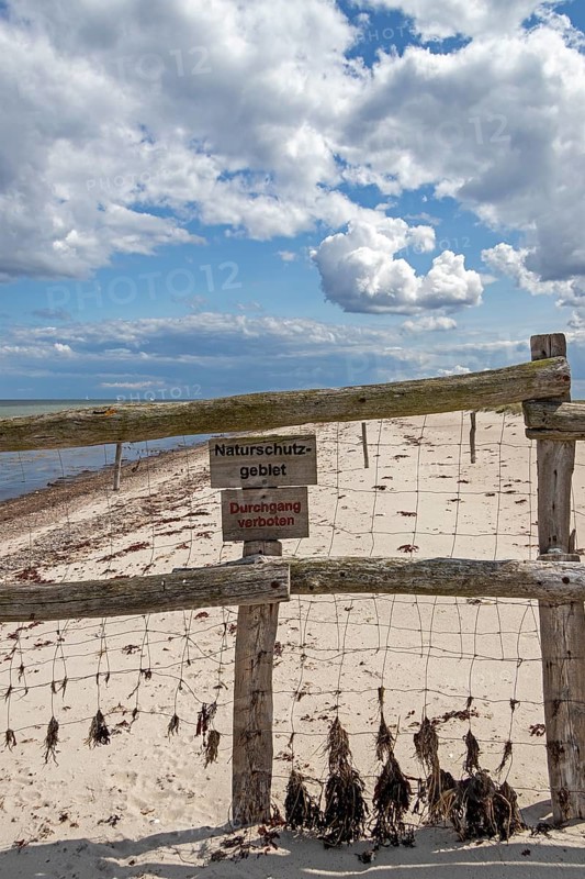 Fence in front of nature reserve, Maasholm, Schleswig-Holstein, Germany, Europe