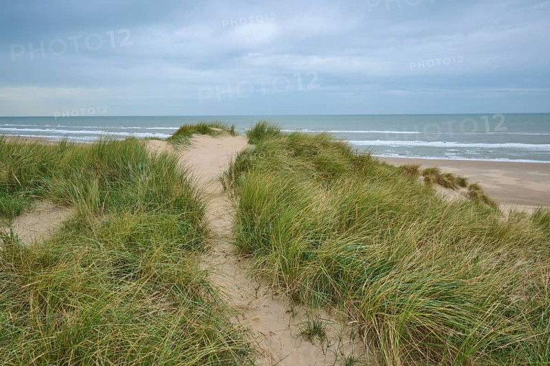 Footpath, Sand dune, Sea, Marram Grass, Clouds, Zandvoort, North Sea, North Holland, Netherlands