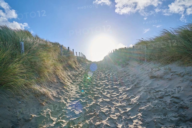 Beach access, sand dune, dune grass, wind, sun, morning, clouds, Zandvoort, North Sea, North Holland, Netherlands
