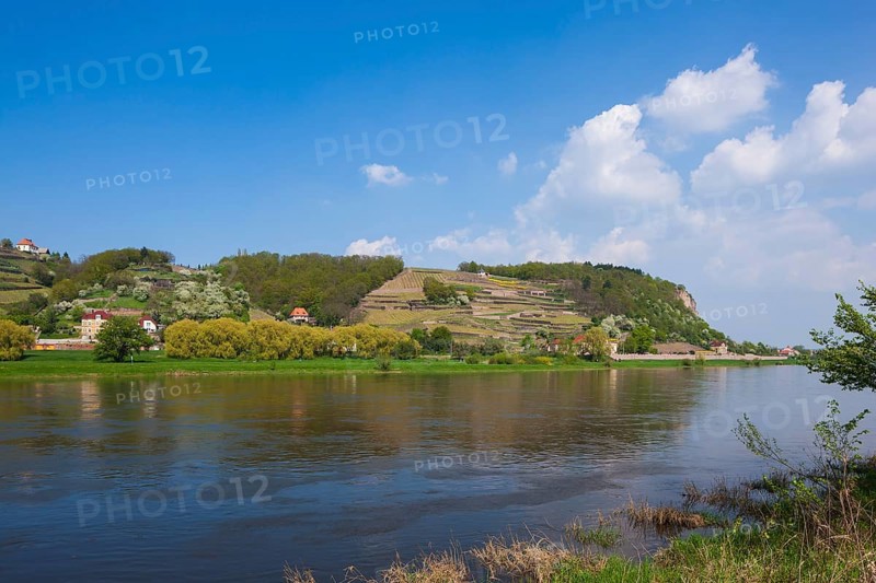 Elbe at the Boselspitze