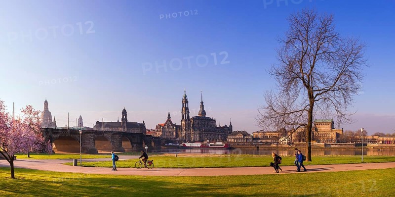 Spring on the Königsufer in Dresden