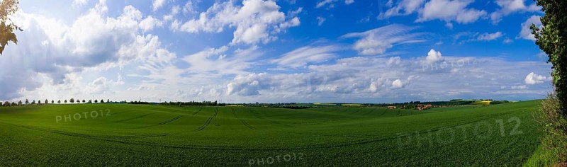 Fields near Lommatzsch