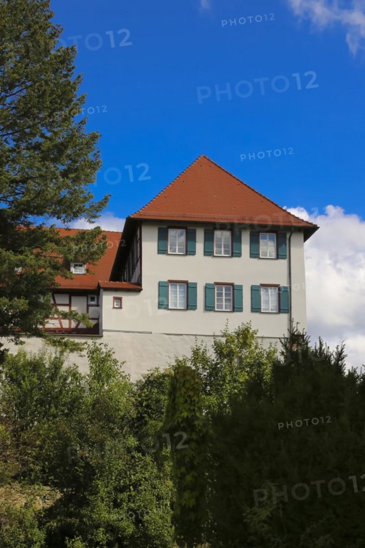 Gomaringen Castle, windows, green shutters, former parish residence of Johann Ulrich Schwindrazheim, Gustav Schwab Museum, former aristocratic residence, historic building, former castle, three-storey half-timbered building, architecture, Gomaringen, Baden-Württemberg, Germany, Europe