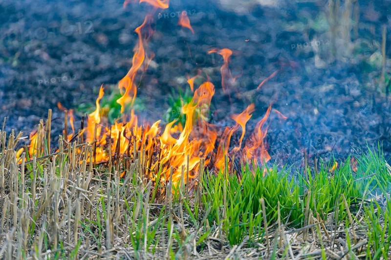 During controlled field fires, the firefighters were able to test various extinguishing methods, from the swatter to the jet pipe