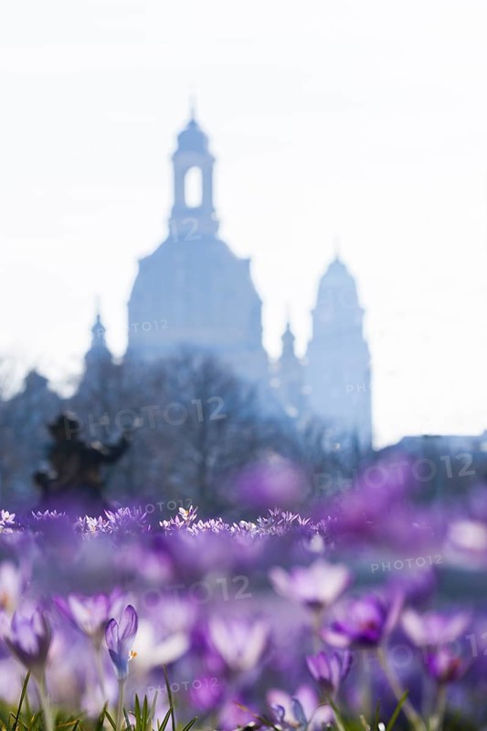 Spring on the main street in Dresden