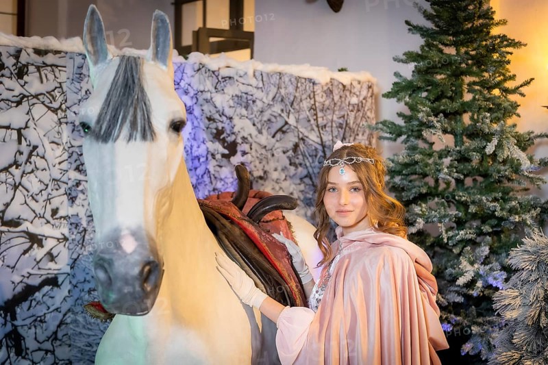 Winter exhibition, Three Hazelnuts for Cinderella