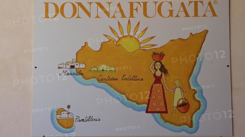 Colourful illustrated map of a winery with brand names and stylised illustrations, Donna Fugata winery, Sicilian wine, Sicily, Italy, Europe
