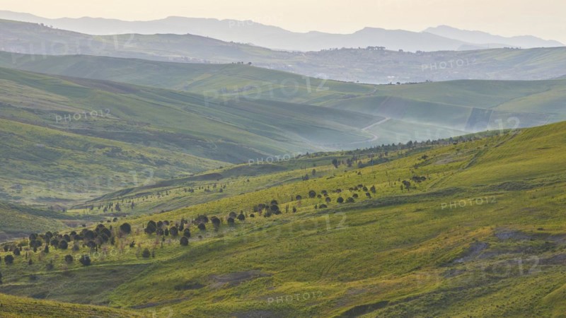 Fog, mountains, trees, green hills, fields, Madonie National Park, spring, Sicily, Italy, Europe