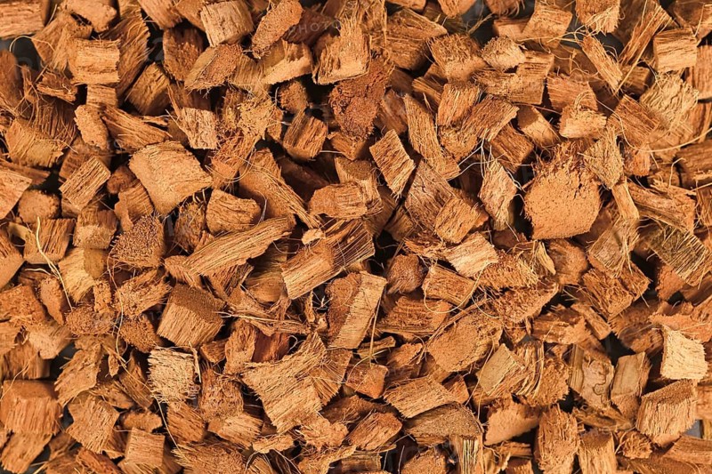 Top view of coconut fiber husks used for potting soil mix for plants or terrarium grounds