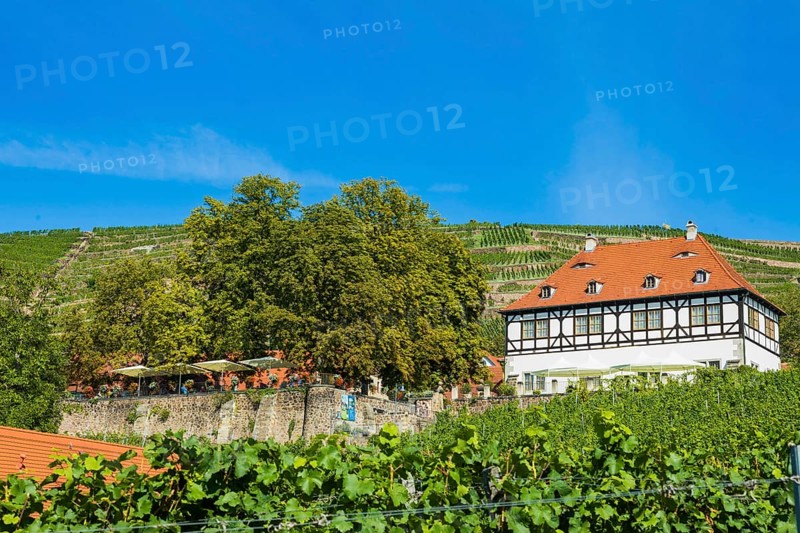 Hoflössnitz st a former Electoral Saxon, now municipal winery on the Saxon Wine Route In the 21st century, it has been converted into a museum and once again maintains a winery with a sales outlet and taproom