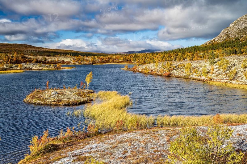 Lake in autumn landscape, Rondane National Park, Norway, Europe