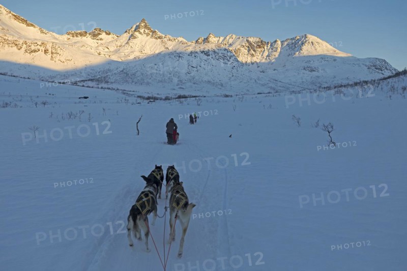 Winter dog sled ride near Tromso, Lapland, Norway, Europe