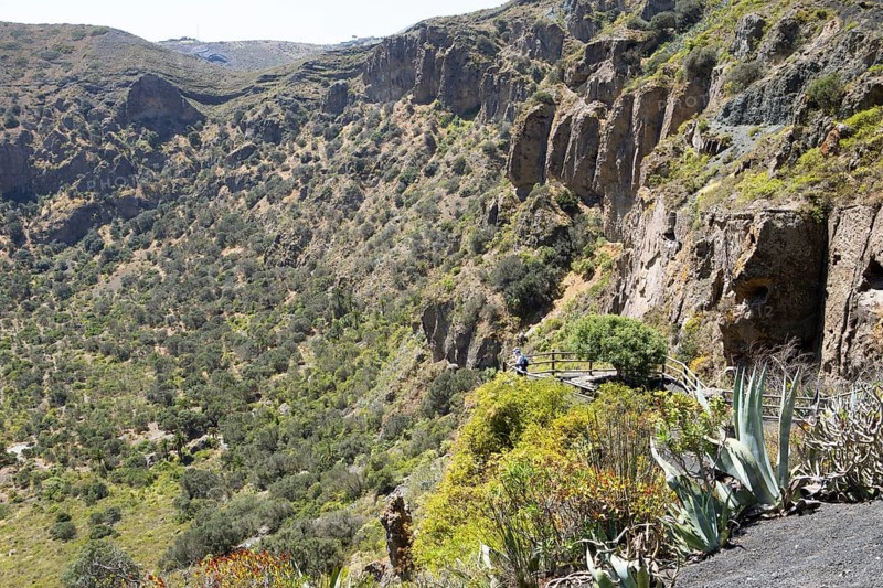 Caldera de Bandama in the Bandama Natural Park or Monumento Natural de Bandama, Las Palmas Province, Gran Canaria, Canary Islands, Spain, Europe