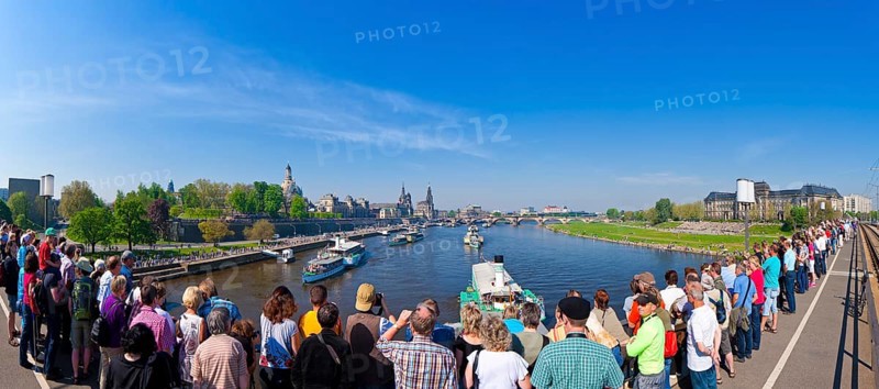 Steamboat parade on the Elbe