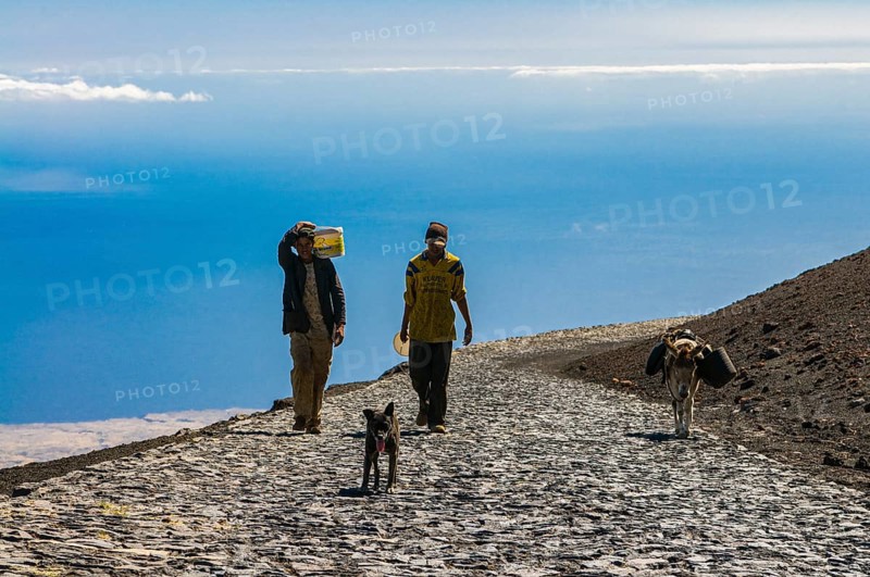 Natives with donkeys on paths around vulcano on Fogo. Cabo Verde. Africa