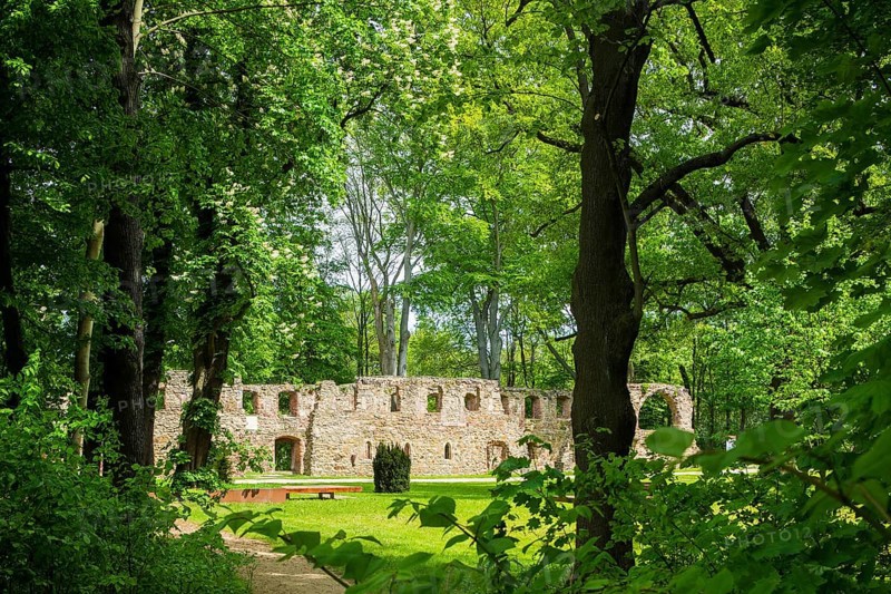 Nimbschen Monastery