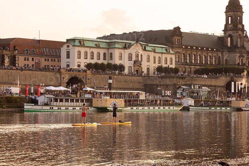 Stand-up paddlers on the Elber in front of the terrace bank with steamboats and the silhouette of the old town