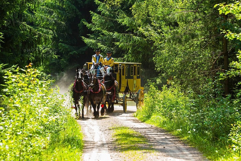 8th stagecoach meeting in Grillenburg