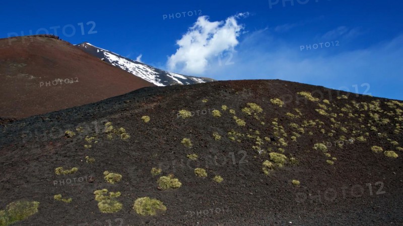 Black lava field, green low vegetation, red lava hill, snow, Crateri Silvestri, Etna, volcano, Eastern Sicily, Sicily, Italy, Europe