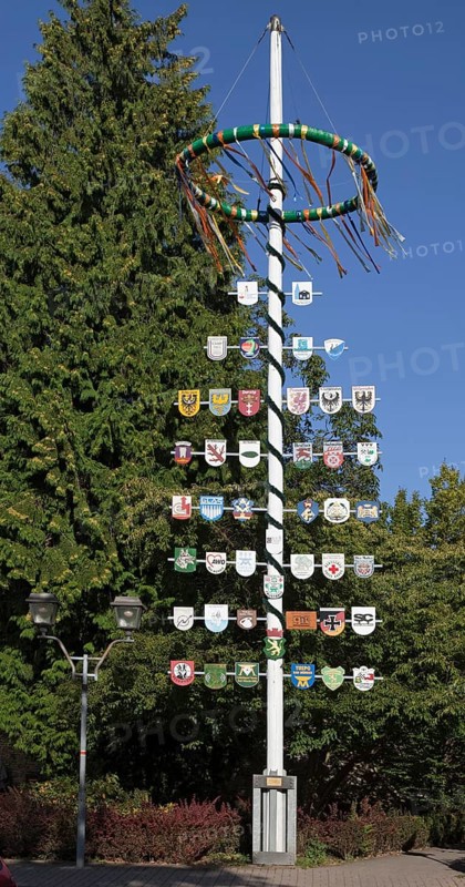 Maypole next to the town hall Bad Münder Germany