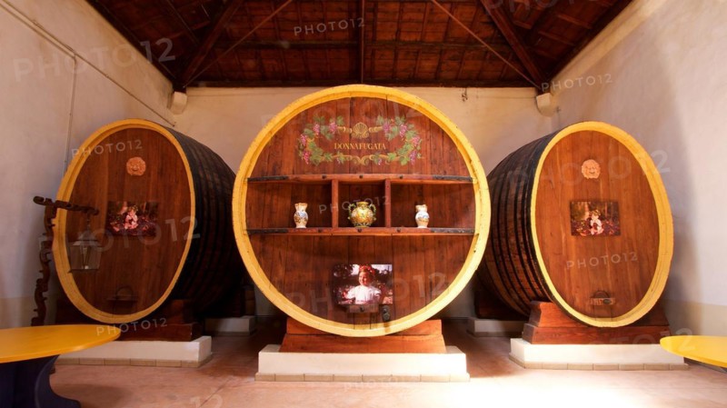 Three large wine barrels, artistically painted and used as wall decoration in a wine cellar, Donna Fugata, Sicilian wine, Sicily, Italy, Europe