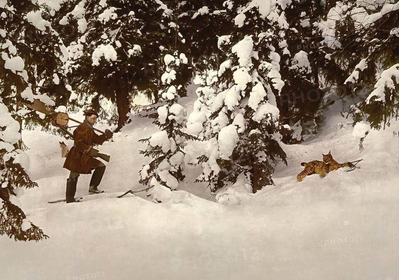 Hunter finds a lynx caught in a beating trap, Russia, c. 1890, Historic, digitally enhanced reproduction of a photochrome print from 1895, Europe