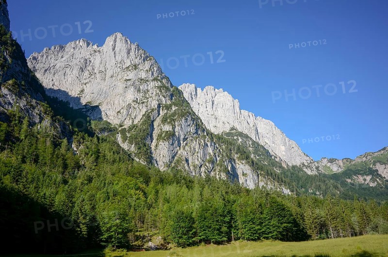 View from the Kaiserbachtal valley to the Mitterkaiser and Predigtstuhl (behind) in the Wilder Kaiser, Tyrol, Austria, Europe