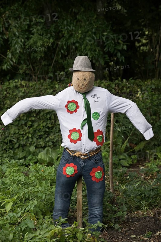 Scarecrow, Emsland, Lower Saxony, Germany, Europe