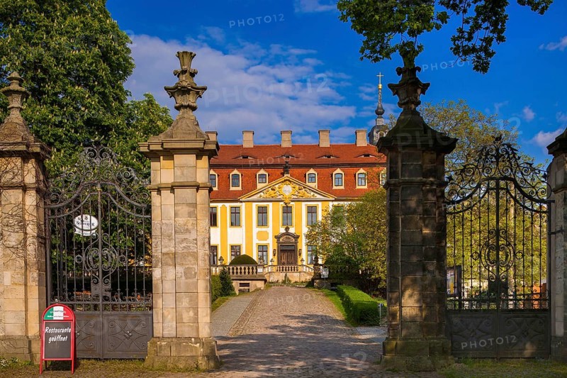Diesbar Seusslitz, Castle
