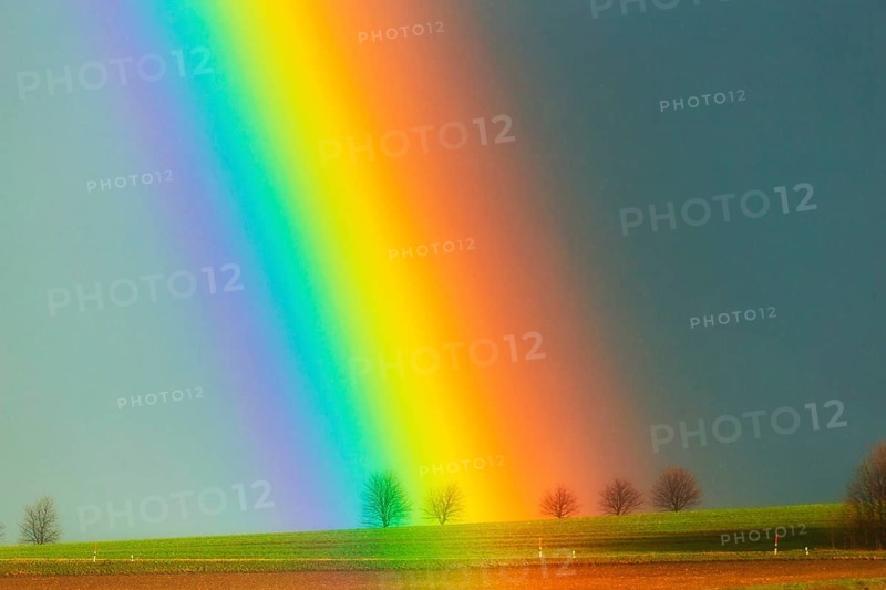 Rainbow on the outskirts of Dresden, the changeable weather already brings the harbingers of April, after cooling down rain and storm followed