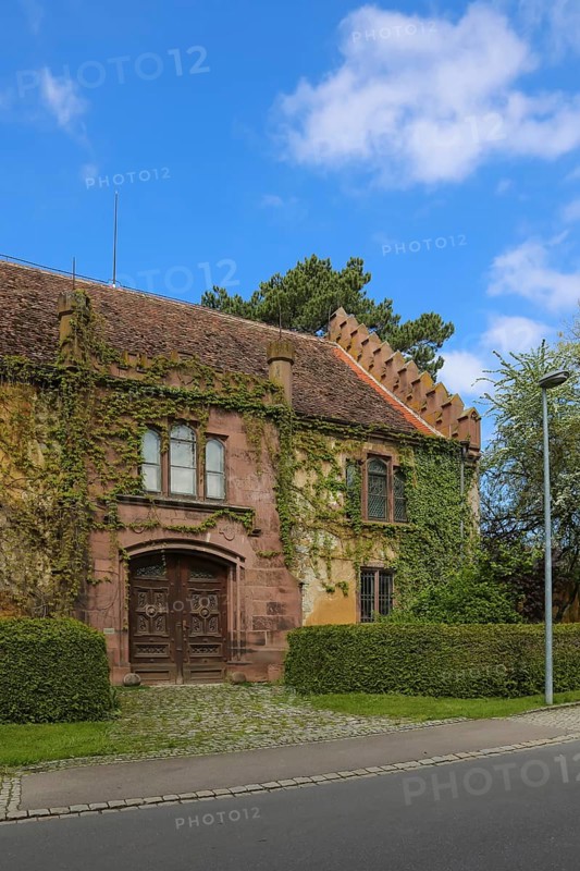 Dotternhausen Castle, Cotta's Castle, Dotternhausen Castle, historic building, aristocratic residence, architecture, overgrown façade, green façade, climbing plants, windows, roof, tiles, wooden door, front door, Dotternhausen, Zollernalbkreis, Baden-Württemberg, Germany, Europe